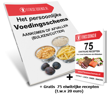 voedingsschema op maat